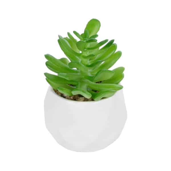 GloboStar® Artificial Garden SUCCULENT CRASSULA POTTED PLANT 20986 Διακοσμητικό Φυτό Κρασούλα Φ6 x Υ10cm | 5,27 €