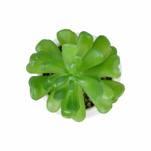 GloboStar® Artificial Garden SUCCULENT CRASSULA POTTED PLANT 20986 Διακοσμητικό Φυτό Κρασούλα Φ6 x Υ10cm | 5,27 €