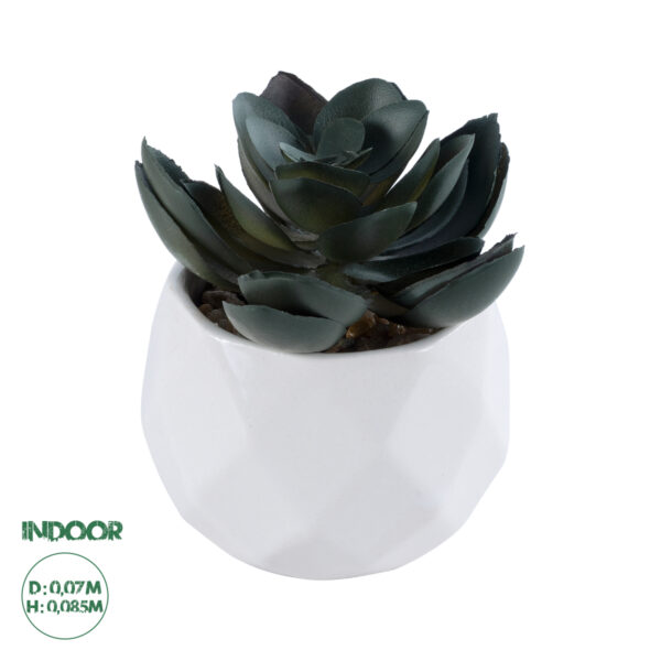 GloboStar® Artificial Garden SUCCULENT ECHEVERIA 20990 Διακοσμητικό Φυτό Παχύφυτο Εχεβέρια Υ8.5cm | 5,27 €