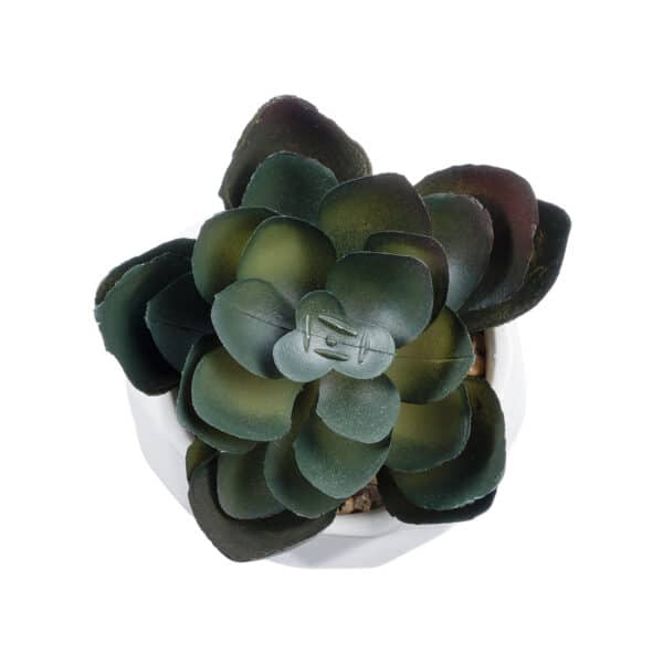 GloboStar® Artificial Garden SUCCULENT ECHEVERIA 20990 Διακοσμητικό Φυτό Παχύφυτο Εχεβέρια Υ8.5cm | 5,27 €