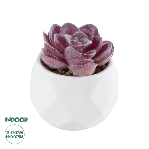 GloboStar® Artificial Garden SUCCULENT ECHEVERIA 21000 Διακοσμητικό Φυτό Παχύφυτο Εχεβέρια Υ7.5cm | 5,27 €