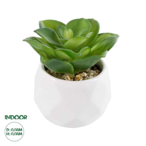 GloboStar® Artificial Garden SUCCULENT ECHEVERIA 21003 Διακοσμητικό Φυτό Παχύφυτο Εχεβέρια Υ8cm | 5,26 €