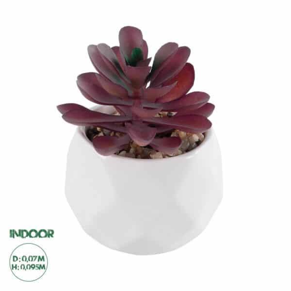 GloboStar® Artificial Garden SUCCULENT CRASSULA 21004 Διακοσμητικό Φυτό Παχύφυτο Κράσουλα Υ9.5cm | 5,26 €