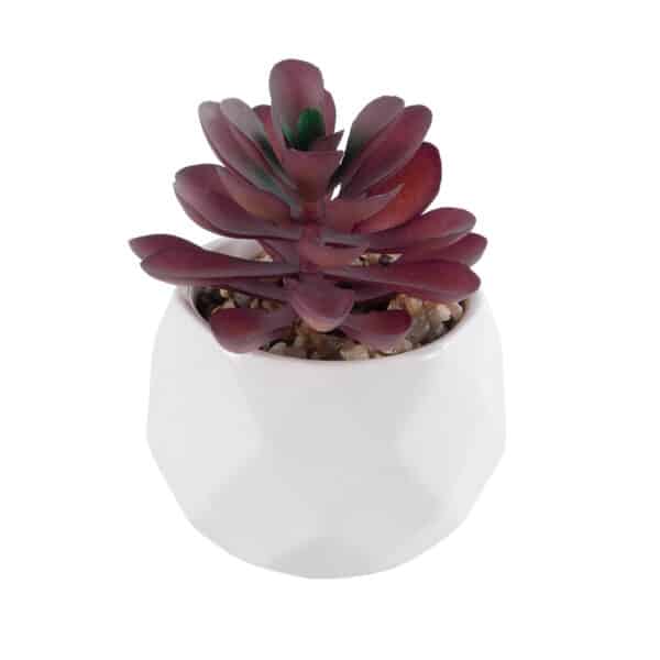 GloboStar® Artificial Garden SUCCULENT CRASSULA 21004 Διακοσμητικό Φυτό Παχύφυτο Κράσουλα Υ9.5cm | 5,26 €