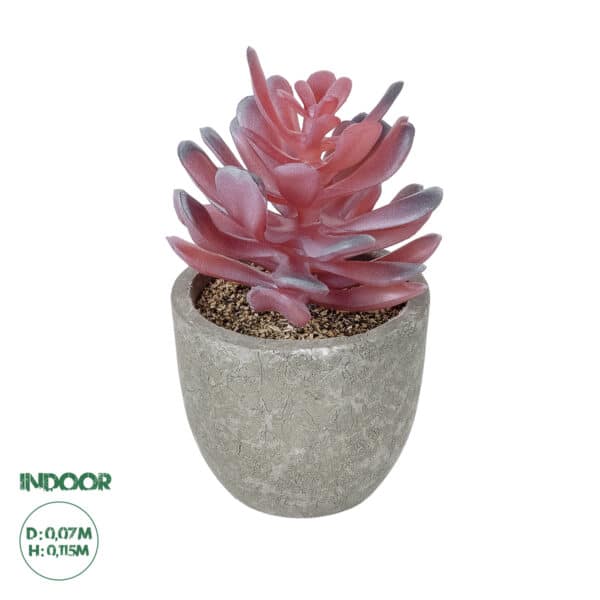 GloboStar® Artificial Garden SUCCULENT CRASSULA POTTED PLANT 21015 Διακοσμητικό Φυτό Κρασούλα Φ7 x Υ11,5cm | 4,56 €