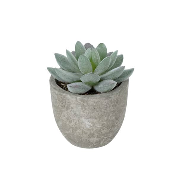 GloboStar® Artificial Garden SUCCULENT SEDEVERIA POTTED PLANT 21016 Διακοσμητικό Φυτό Σεδεβέρια Φ7 x Υ8cm | 4,37 €