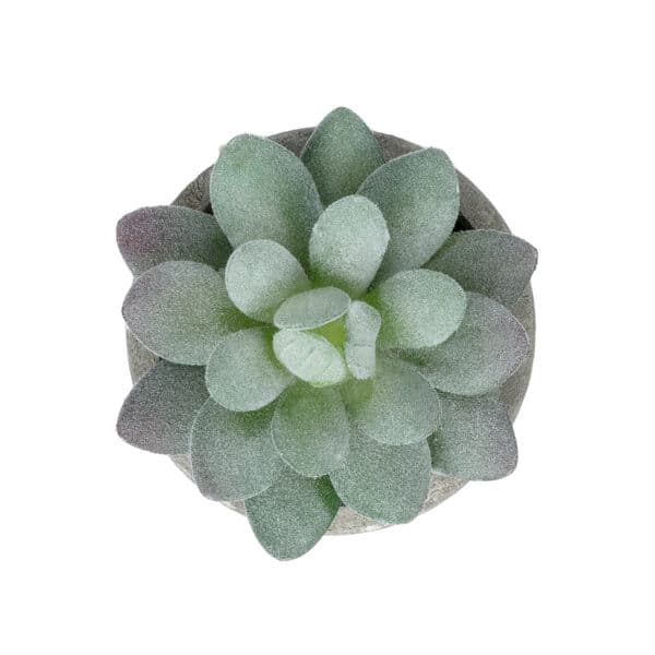 GloboStar® Artificial Garden SUCCULENT SEDEVERIA POTTED PLANT 21016 Διακοσμητικό Φυτό Σεδεβέρια Φ7 x Υ8cm | 4,37 €