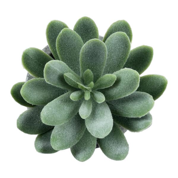 GloboStar® Artificial Garden SUCCULENT SEDEVERIA 21025 Διακοσμητικό Φυτό Παχύφυτο Σεντεβέρια Υ10.5cm | 4,89 €