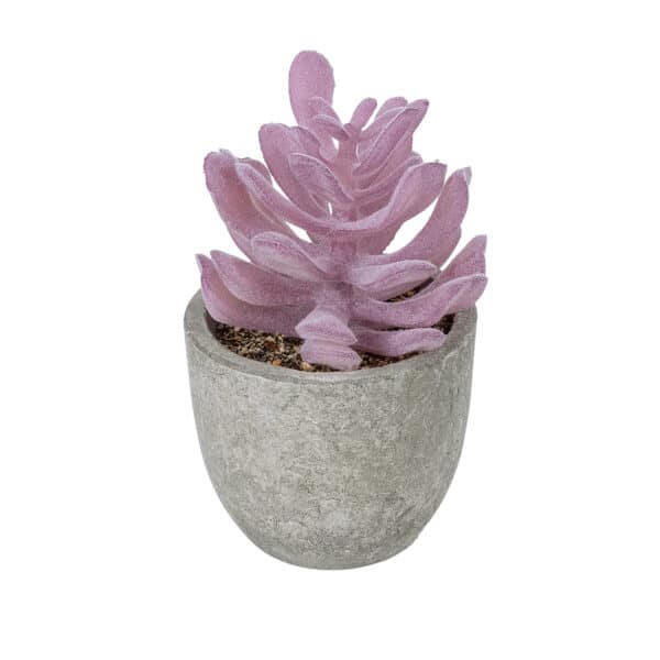 GloboStar® Artificial Garden SUCCULENT CRASSULA POTTED PLANT 21029 Διακοσμητικό Φυτό Κρασούλα Φ7 x Υ10,5cm | 4,88 €