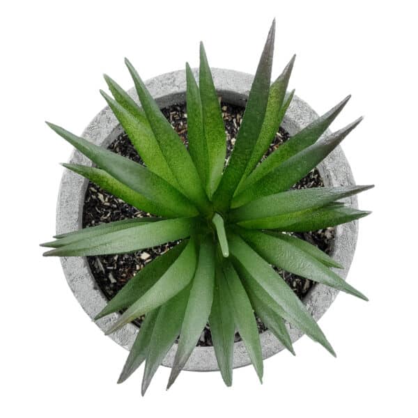 GloboStar® Artificial Garden SUCCULENT ALOE 21030 Διακοσμητικό Φυτό Παχύφυτο Αλόη Υ10cm | 3,98 €