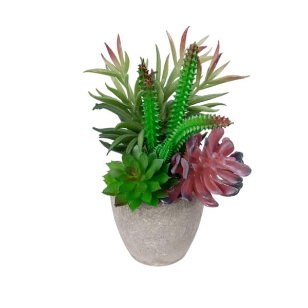 GloboStar® Artificial Garden SUCCULENT VARIUS PLANT POTTED 21039 Διακοσμητικό Φυτό Μίξ Μ17 x Υ20cm | 15,12 €