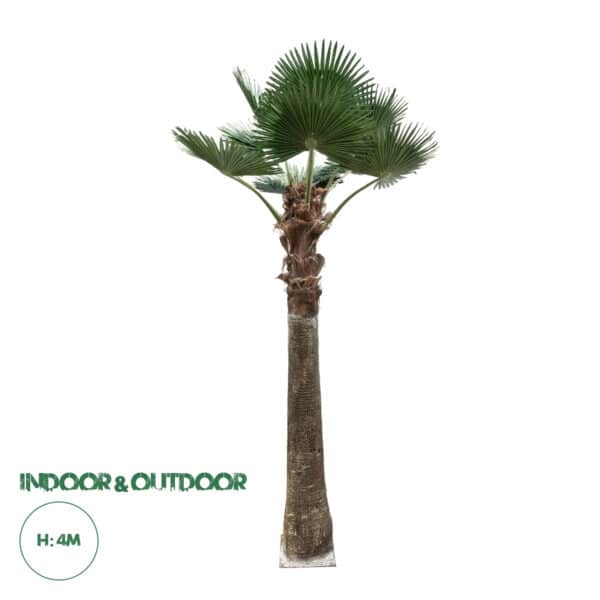 GloboStar® Artificial Garden PLANT PALM TREE 21055 Διακοσμητικό Δέντρο Φοίνικα Φ240 x Υ400cm | 2.035,99 €