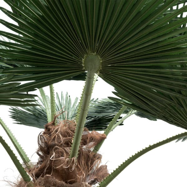 GloboStar® Artificial Garden PLANT PALM TREE 21055 Διακοσμητικό Δέντρο Φοίνικα Φ240 x Υ400cm | 2.035,99 €