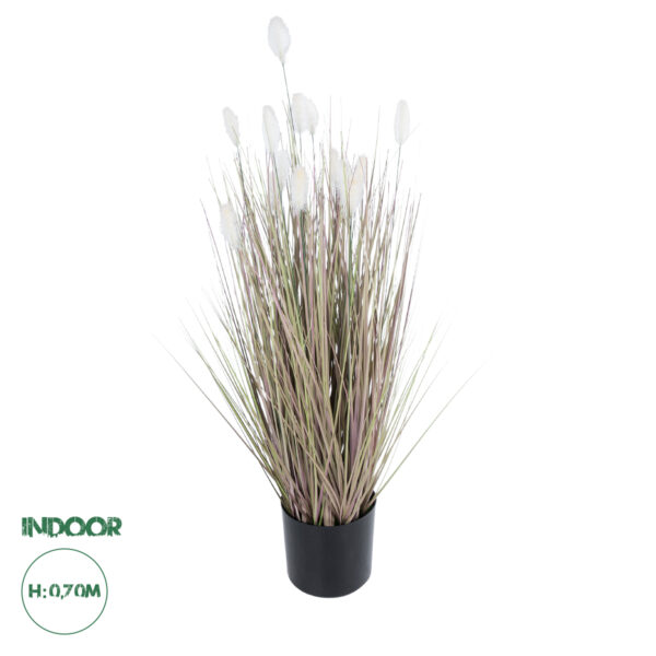 GloboStar® Artificial Garden BEIGE LAGURU 21100 Διακοσμητικό Φυτό Μπεζ Λαγοουρά Υ70cm | 59,97 €