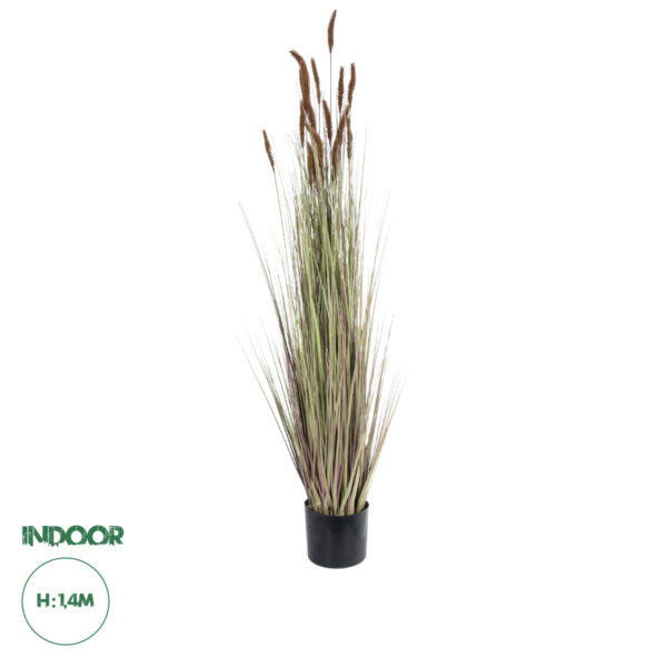 GloboStar® Artificial Garden BROWN LAGURUS 21101 Διακοσμητικό Φυτό Καφέ Λαγοουρά Υ140cm | 81,24 €