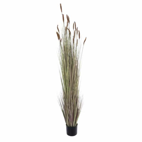 GloboStar® Artificial Garden BROWN LAGURUS 21103 Διακοσμητικό Φυτό Καφέ Λαγοουρά Υ180cm | 147,02 €