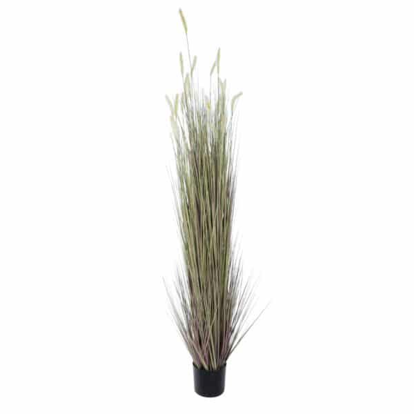 GloboStar® Artificial Garden BEIGE LAGURUS 21103 Διακοσμητικό Φυτό Μπεζ Λαγοουρά Υ180cm | 147,02 €