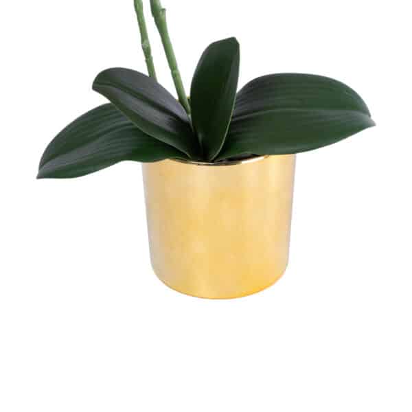 GloboStar® Artificial Garden BLUE ORCHID 21130 Διακοσμητικό Φυτό Μπλε Ορχιδέα Υ43cm | 31,73 €