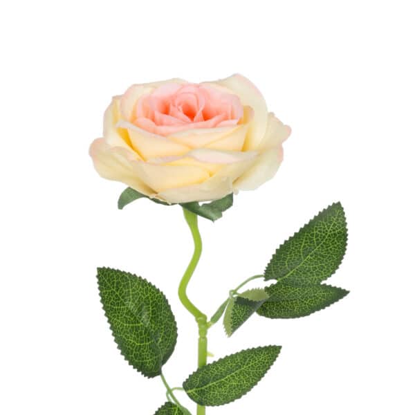 GloboStar® Artificial Garden CHAMPAGNE ROSE BRANCH 21141 Τεχνητό Διακοσμητικό Κλαδί Σαμπανιζέ Τριαντάφυλλο Y50cm | 1,59 €