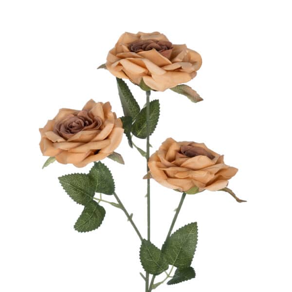 GloboStar® Artificial Garden PEACH CLIMBING ROSE BRANCH 21189 Τεχνητό Διακοσμητικό Κλαδί Τριαντάφυλλο Ροδακινί Y66cm | 3,48 €