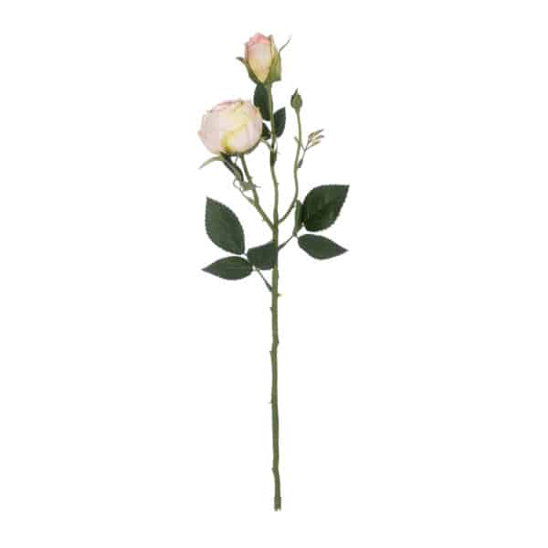 GloboStar® Artificial Garden CHAMPAGNE DAMASK CLIMBING ROSE BRANCH 21198 Τεχνητό Διακοσμητικό Κλαδί Τριαντάφυλλο Σαμπανιζέ Y55cm | 3,22 €