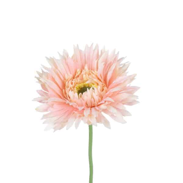 GloboStar® Artificial Garden PINK GERBERA BRANCH 21205 Τεχνητό Διακοσμητικό Κλαδί Ζέρμπερας Ροζ Y44cm | 1,75 €