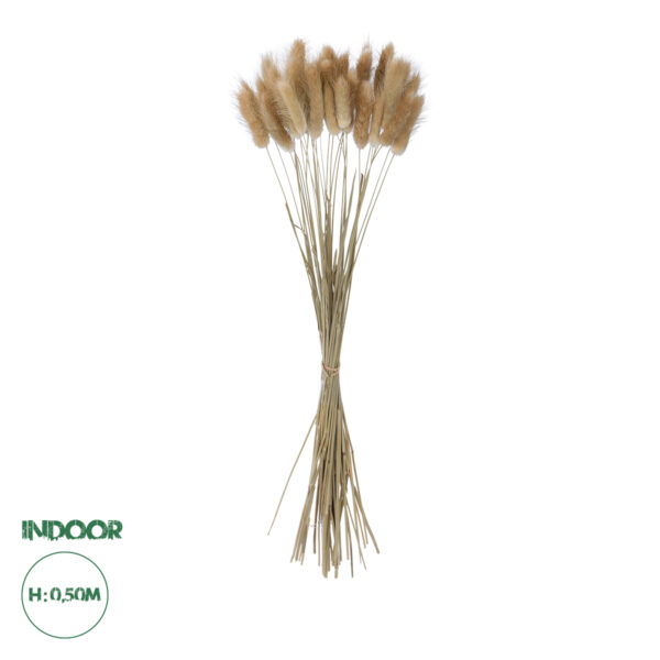 GloboStar® Artificial Garden REAL DRIED BEIGE WHEAT BUNCH 21219 Αποξηραμένο Διακοσμητικό Μπουκέτο Σιταριού Y50cm | 5,81 €