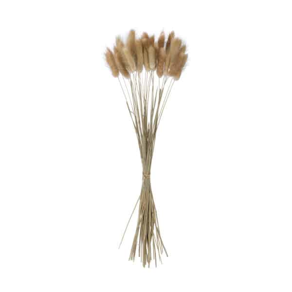 GloboStar® Artificial Garden REAL DRIED BEIGE WHEAT BUNCH 21219 Αποξηραμένο Διακοσμητικό Μπουκέτο Σιταριού Y50cm | 5,81 €