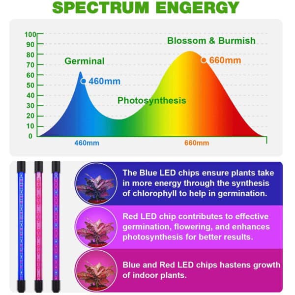 GloboStar® 85957 Grow Light Full Spectrum LED Φωτιστικό Ανάπτυξης Φυτών Γλάστρας με 4 Κινούμενες Κεφαλές & Βάση Μανταλάκι Clip SMD 2835 20W 160° AC230V IP20 με Dimmer & Timer Εσωτερικού Χώρου για Κάλυψη Επιφάνειας 1m x 1m Πλήρους Φάσματος Φωτισμού | 51,45 €