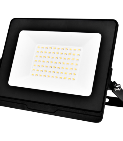 OMEGA50 LED FLOODLIGHT 50W 5500K IP65+EM