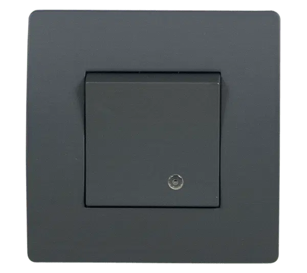 EL BASIC TG114 1 BUTTON 1 WAY SWITCH WITH LIGHT GR