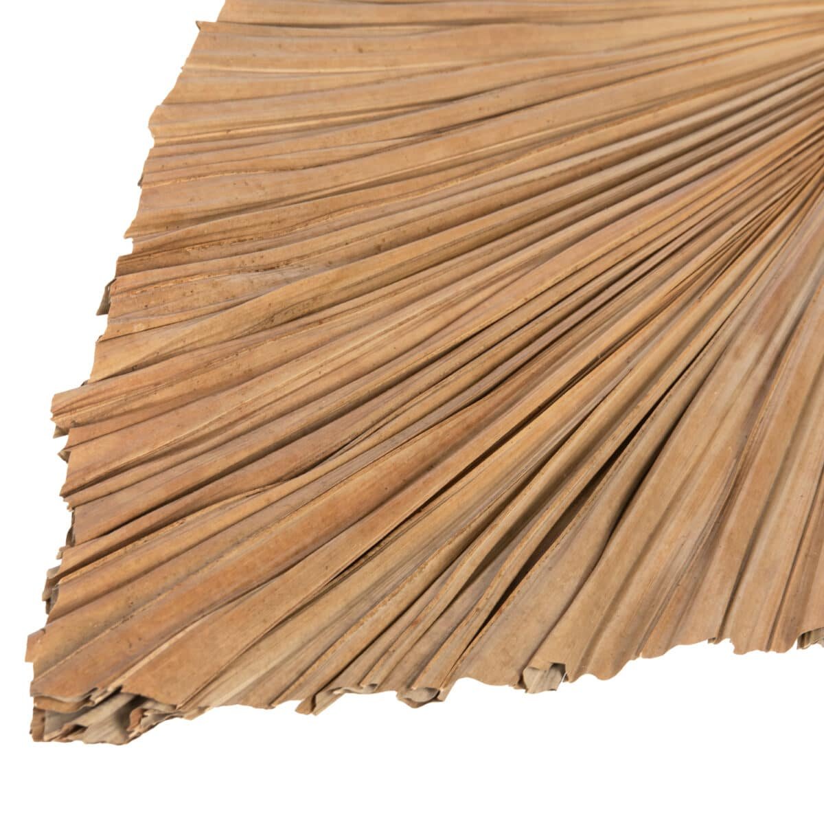 ΑΠΟΞΗΡΑΜΕΝΟ ΔΙΑΚΟΣΜΗΤΙΚΟ ΦΥΛΛΟ ΦΟΙΝΙΚΑ HM7875 ΣΕ ΦΥΣΙΚΗ ΑΠΟΧΡΩΣΗ 42x135x3 εκ. - Image 5