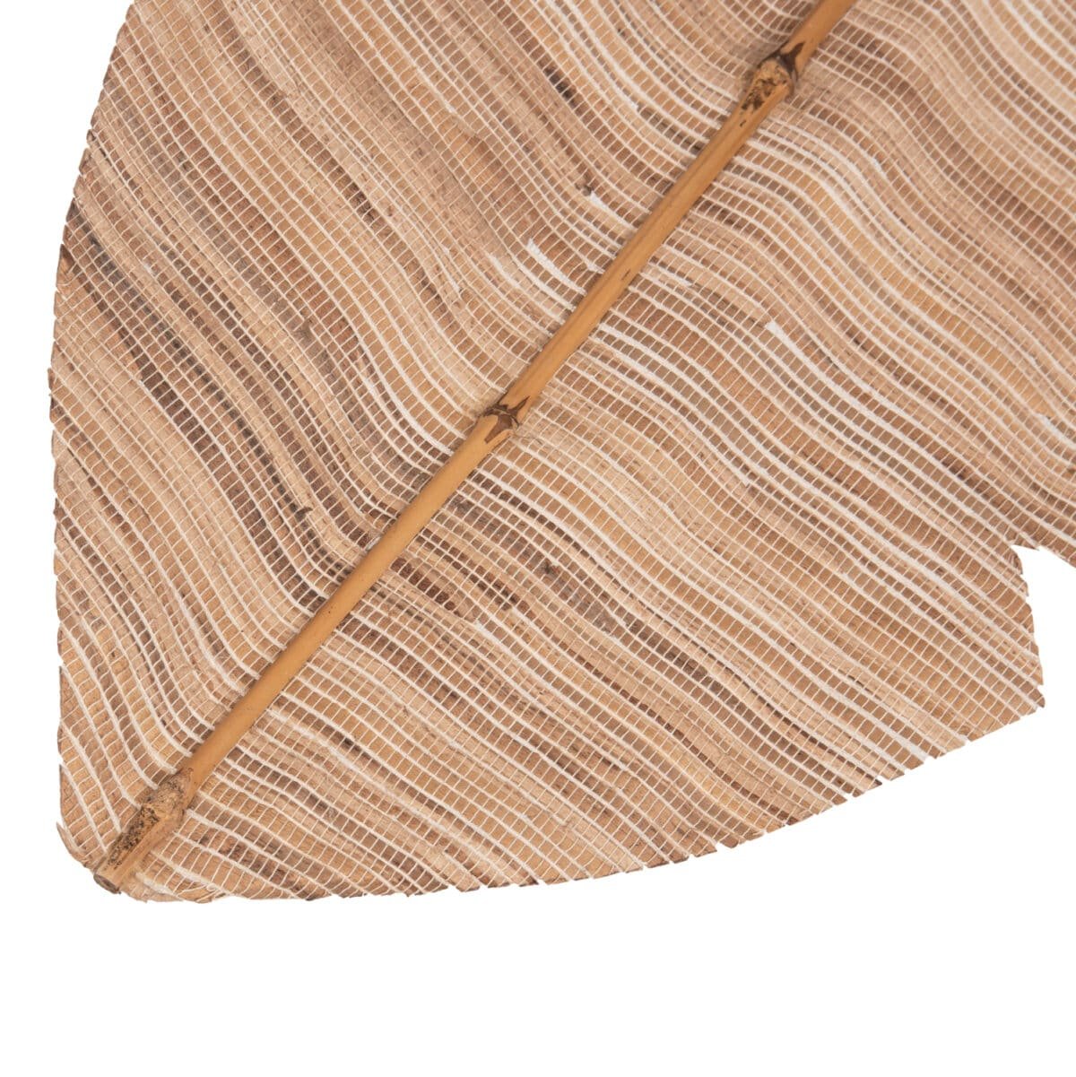 ΔΙΑΚΟΣΜΗΤΙΚΟ ΦΤΕΡΟ HM7873 ΥΔΡΟΥΑΚΙΝΘΟΣ ΣΕ ΦΥΣΙΚΗ ΑΠΟΧΡΩΣΗ 32x200x3 εκ. - Image 4