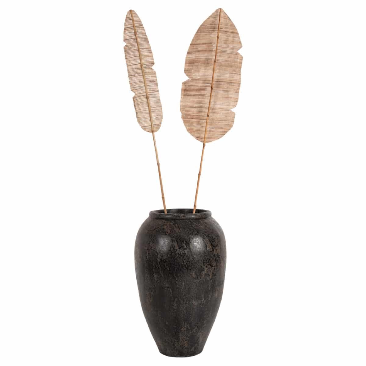 ΔΙΑΚΟΣΜΗΤΙΚΟ ΦΤΕΡΟ HM7873 ΥΔΡΟΥΑΚΙΝΘΟΣ ΣΕ ΦΥΣΙΚΗ ΑΠΟΧΡΩΣΗ 32x200x3 εκ. - Image 7