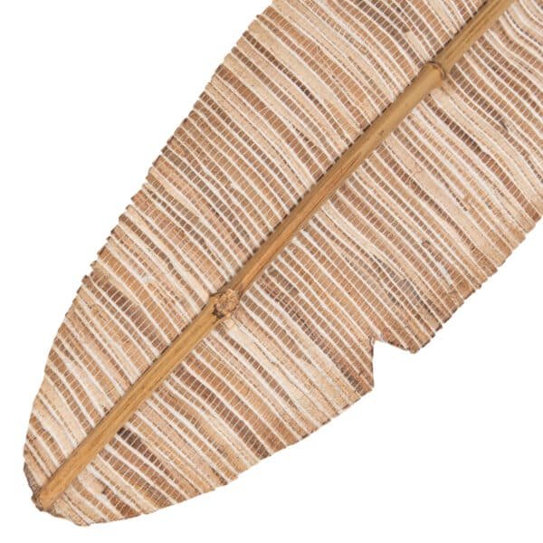 ΔΙΑΚΟΣΜΗΤΙΚΟ ΦΤΕΡΟ HM7874 ΥΔΡΟΥΑΚΙΝΘΟΣ ΣΕ ΦΥΣΙΚΗ ΑΠΟΧΡΩΣΗ 15x200x3 εκ. - Image 4