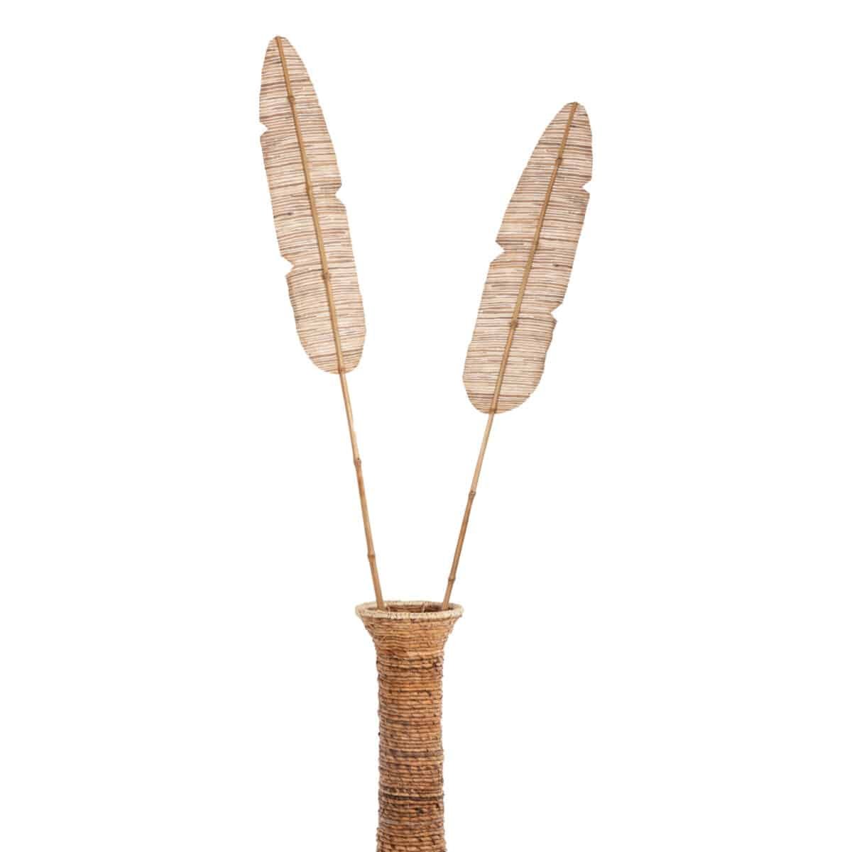 ΔΙΑΚΟΣΜΗΤΙΚΟ ΦΤΕΡΟ HM7874 ΥΔΡΟΥΑΚΙΝΘΟΣ ΣΕ ΦΥΣΙΚΗ ΑΠΟΧΡΩΣΗ 15x200x3 εκ. - Image 6