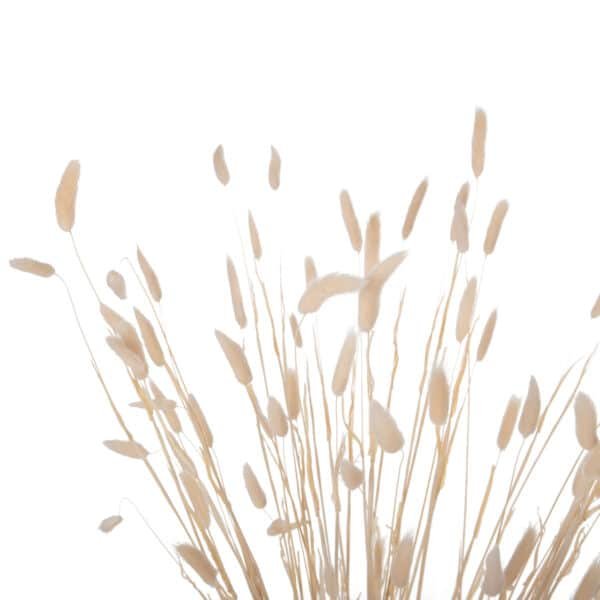 ΔΙΑΚΟΣΜΗΤΙΚΟ ΜΠΟΥΚΕΤΟ ΑΠΟΞΗΡΑΜΕΝΟ HM7959 RABBIT TAIL- CREAM 50gr 76Υεκ. - Image 4