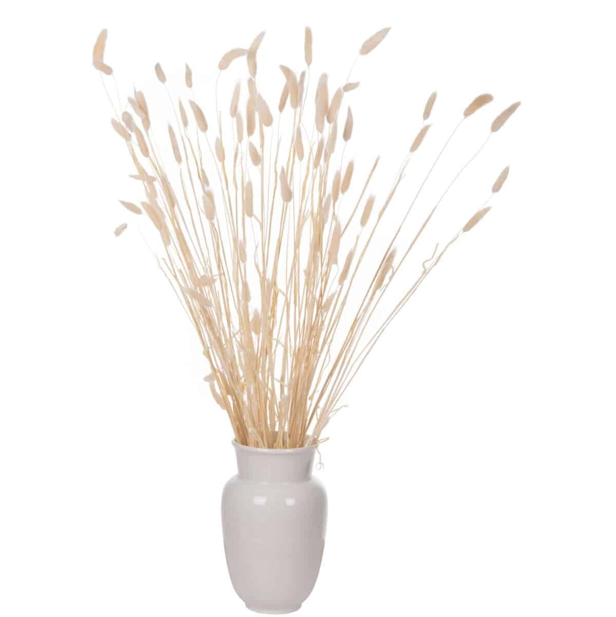 ΔΙΑΚΟΣΜΗΤΙΚΟ ΜΠΟΥΚΕΤΟ ΑΠΟΞΗΡΑΜΕΝΟ HM7959 RABBIT TAIL- CREAM 50gr 76Υεκ. - Image 5