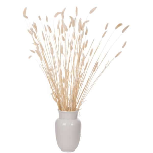 ΔΙΑΚΟΣΜΗΤΙΚΟ ΜΠΟΥΚΕΤΟ ΑΠΟΞΗΡΑΜΕΝΟ HM7959 RABBIT TAIL- CREAM 50gr 76Υεκ. - Image 5