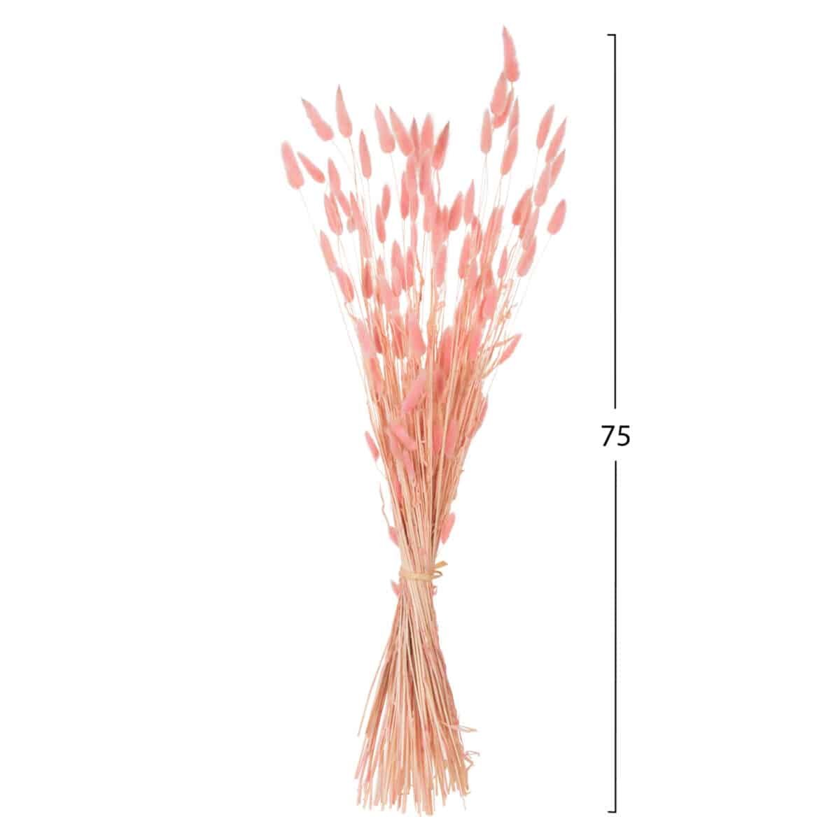 ΔΙΑΚΟΣΜΗΤΙΚΟ ΜΠΟΥΚΕΤΟ ΑΠΟΞΗΡΑΜΕΝΟ HM7960 RABBIT TAIL-PINK 75Υεκ. - Image 2