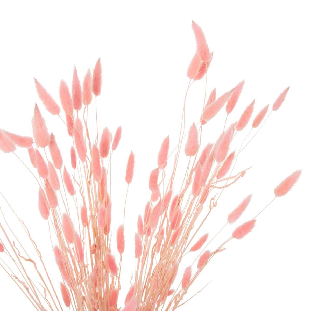 ΔΙΑΚΟΣΜΗΤΙΚΟ ΜΠΟΥΚΕΤΟ ΑΠΟΞΗΡΑΜΕΝΟ HM7960 RABBIT TAIL-PINK 75Υεκ. - Image 4