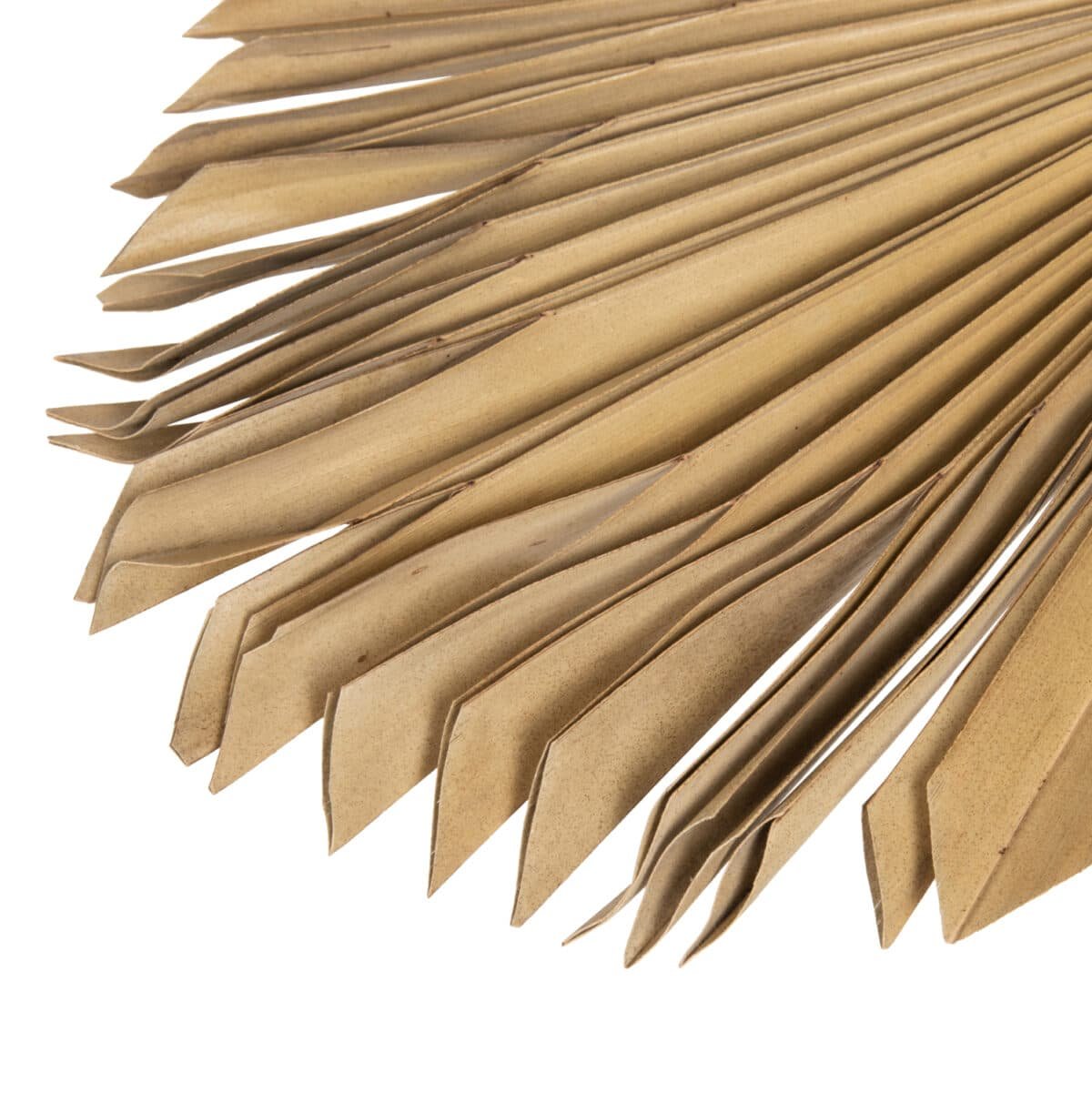 ΔΙΑΚΟΣΜΗΤΙΚΟ ΤΟΙΧΟΥ HM7876 ΑΠΟΞΗΡΑΜΕΝΟ ΦΥΛΛΟ ΦΟΙΝΙΚΑ ΣΕ ΦΥΣΙΚΗ ΑΠΟΧΡΩΣΗ 30x102x3 εκ. - Image 5