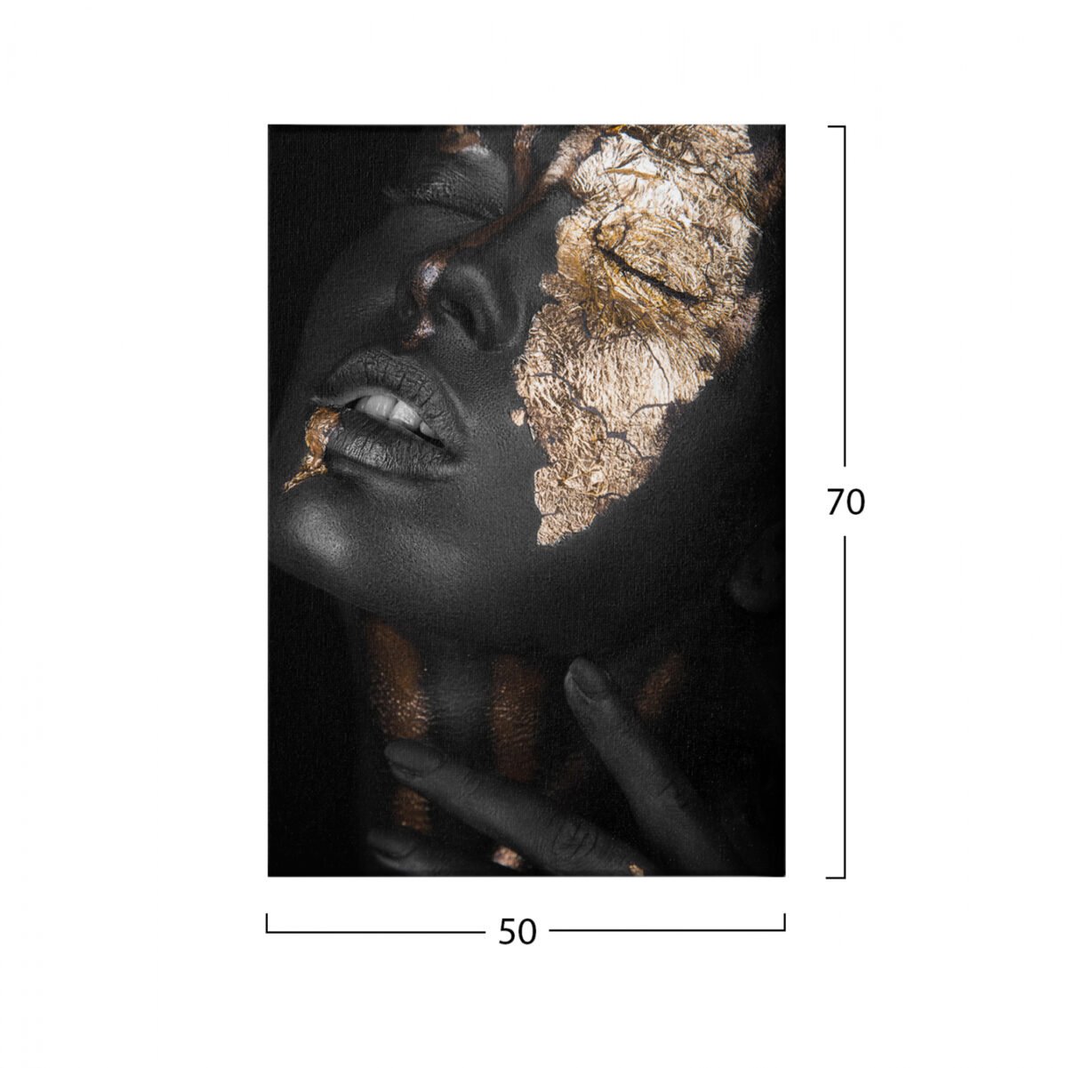 ΠΙΝΑΚΑΣ ΚΑΜΒΑΣ DARK SKINNED GIRL WITH GOLD MAKEUP HM7196.01 50X3X70 εκ. - Image 2