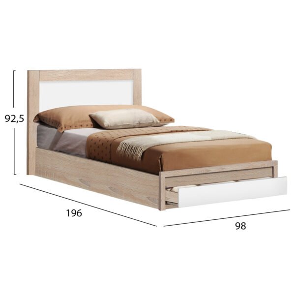 ΣΕΤ ΦΟΙΤΗΤΙΚΟ 6ΤΜΧ HM11994 - Image 3