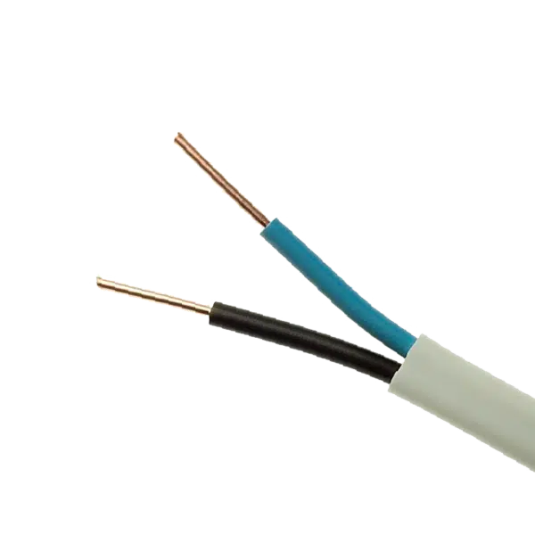 ΠΟΛΥΚΛΩΝΟ ΚΑΛΩΔΙΟ NYM 2x2.5mm2